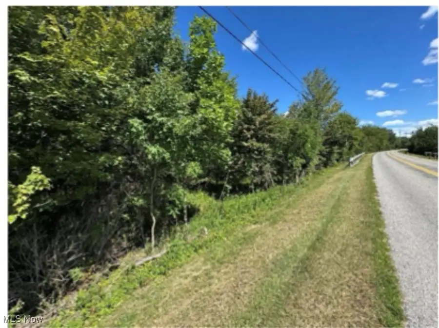 Cooper Foster Park Road, Brownhelm, OH 44001 - Image #3