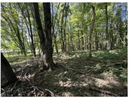 Whittlesey Road, Brownhelm, OH 44001 - Image #1