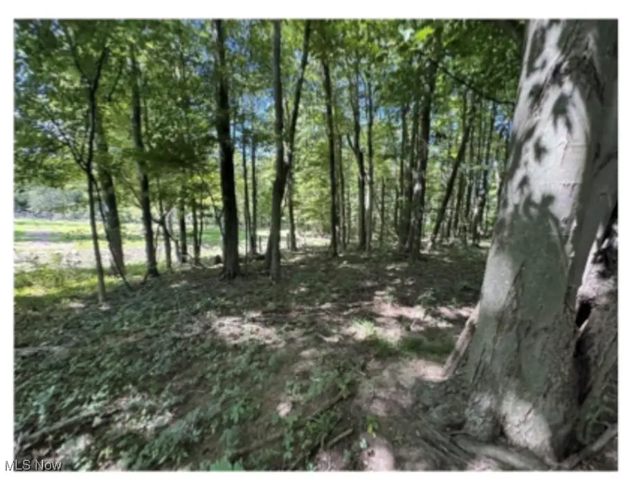 Whittlesey Road, Brownhelm, OH 44001 - Image #2