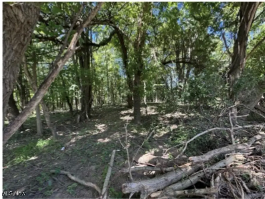 Whittlesey Road, Brownhelm, OH 44001 - Image #3