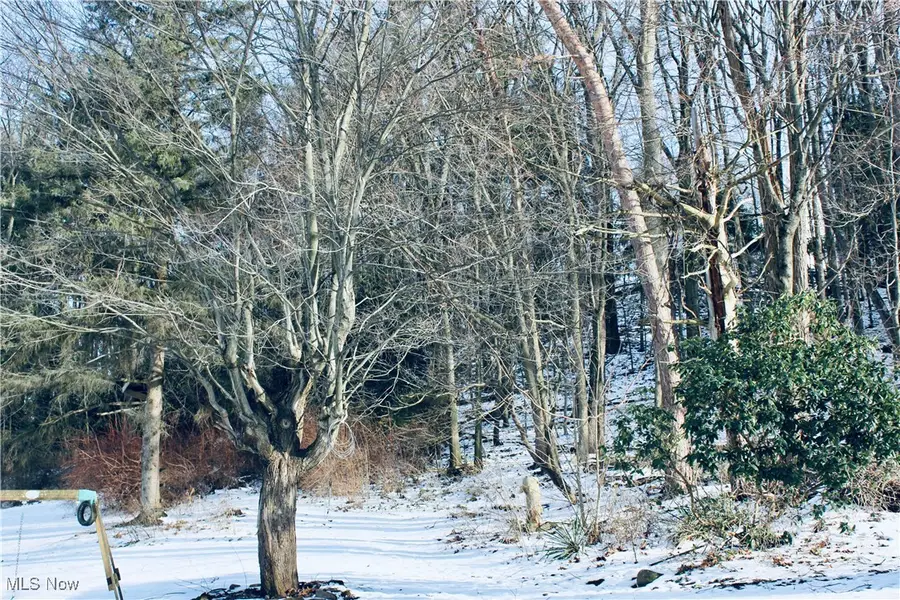 513 Queen Street, Minerva, OH 44657 - Image #3