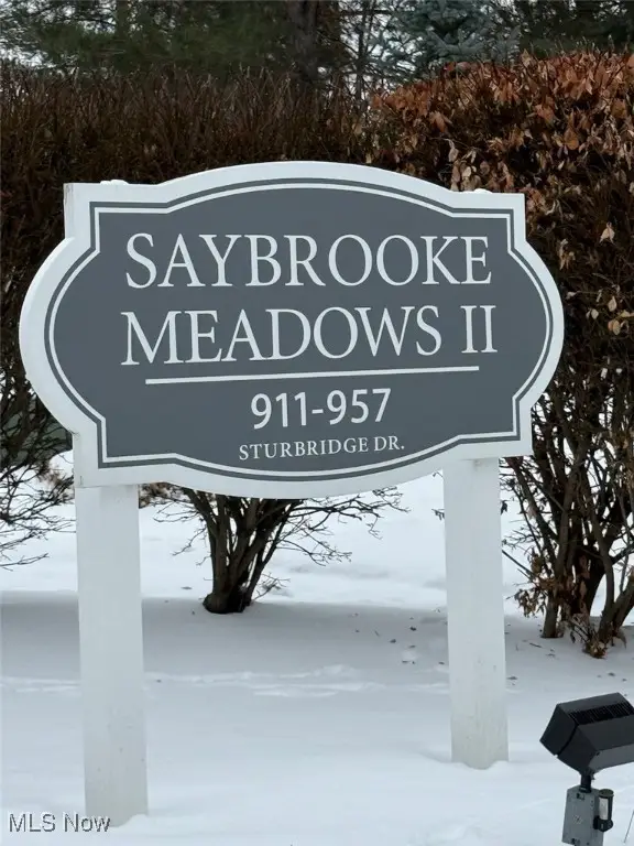 915 Sturbridge Drive, Medina, OH 44256 - Image #3