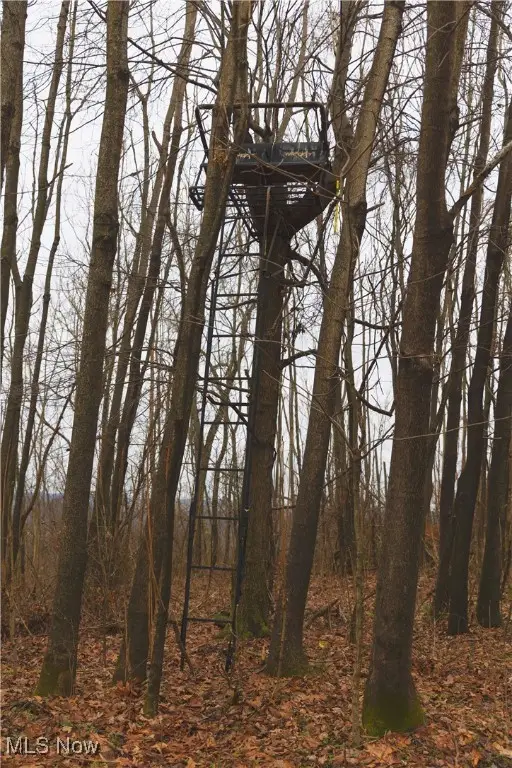 56382 County Road 5, West Lafayette, OH 43845 - Image #3