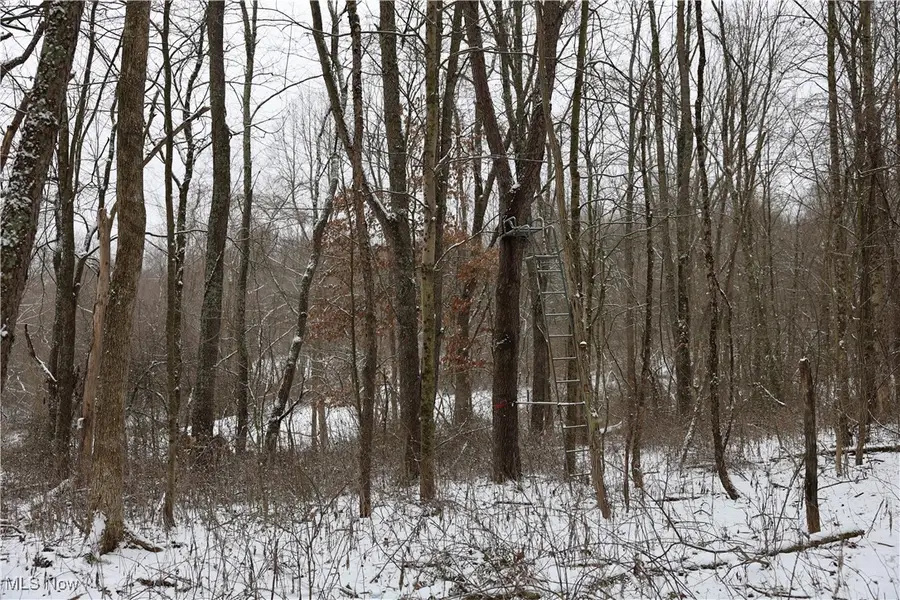 County Road 402, Warsaw, OH 43844 - Image #3