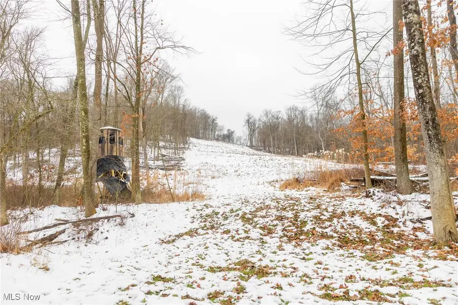 Citrus Road, Malvern, OH 44644 - Image #2