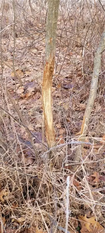 Township Rd 399, Coshocton, OH 43812 - Image #3