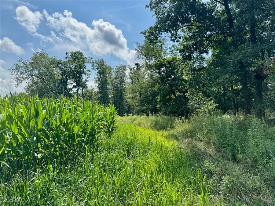 Foundry Hill Road, Salineville, OH 43945 - Image #3