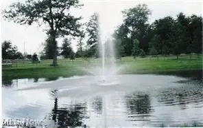 14706 Steeplechase Drive, Middlefield, OH 44062 - Image #3