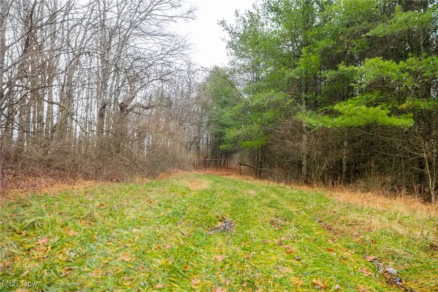 Glen Long Road, Caldwell, OH 43724 - Image #3