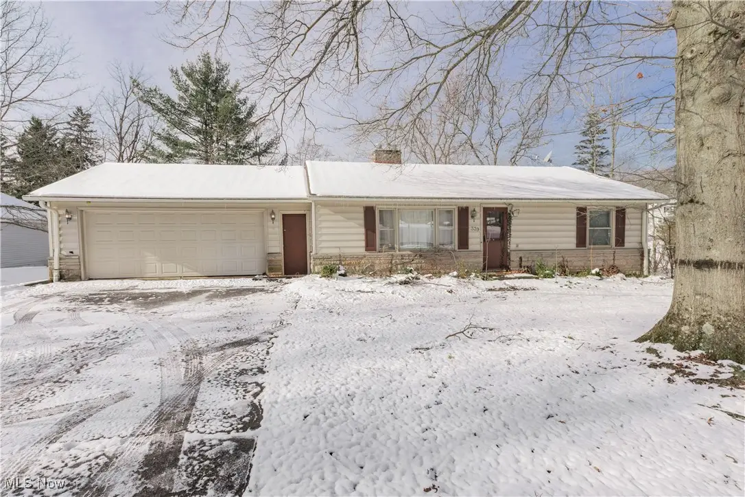 339 North Street, Chagrin Falls, OH 44022 - Image #1