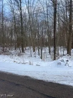 Walter Main Road, Geneva, OH 44041 - Image #2