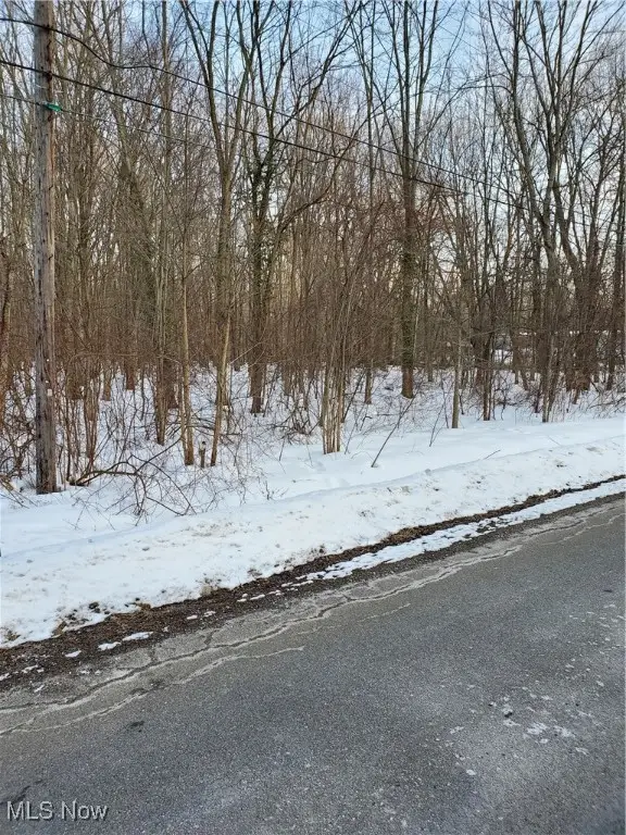 Walter Main Road, Geneva, OH 44041 - Image #3