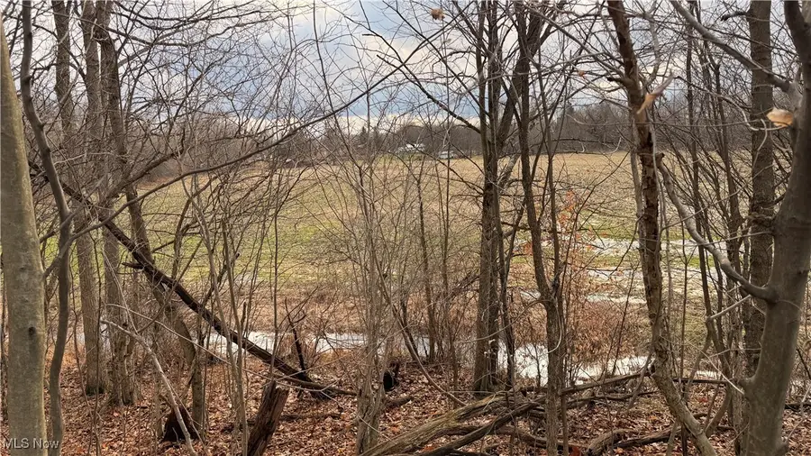 4055 Riverdale Road, Rock Creek, OH 44084 - Image #2