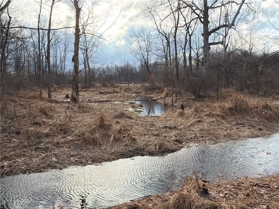 4055 Riverdale Road, Rock Creek, OH 44084 - Image #3