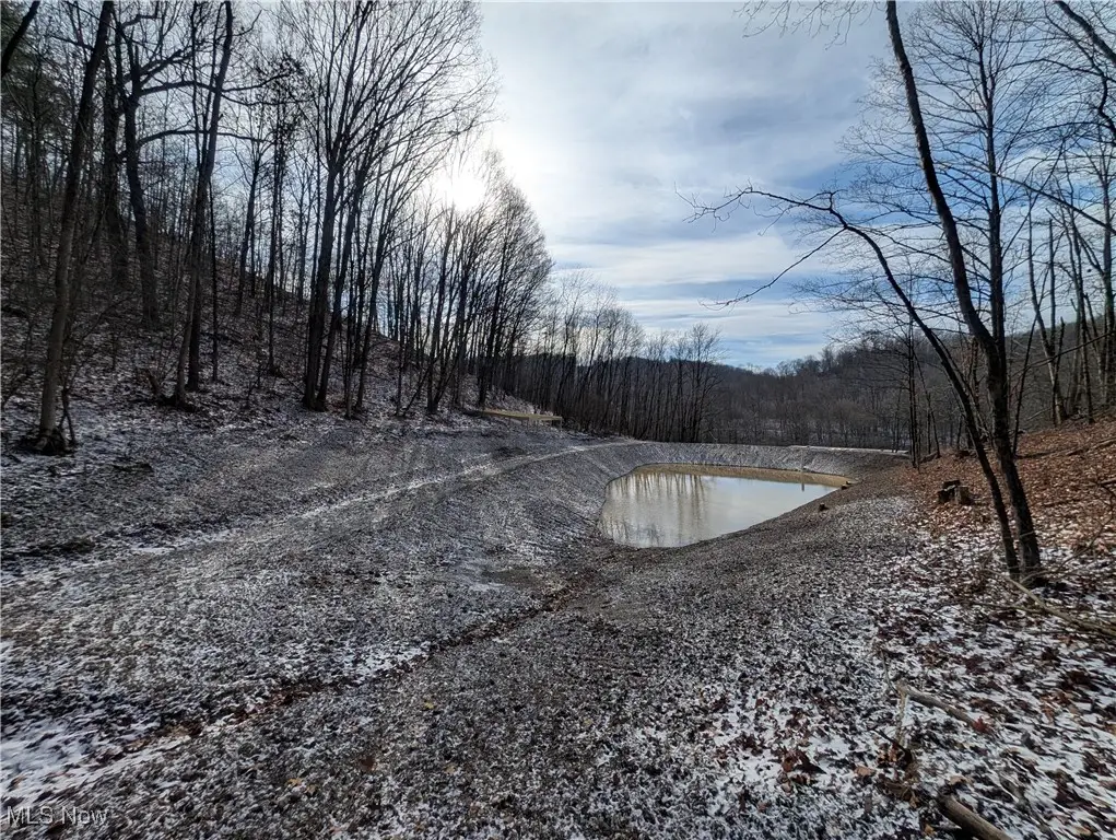 1054 Bergholz Se Road, Lee, OH 43908 - Image #1