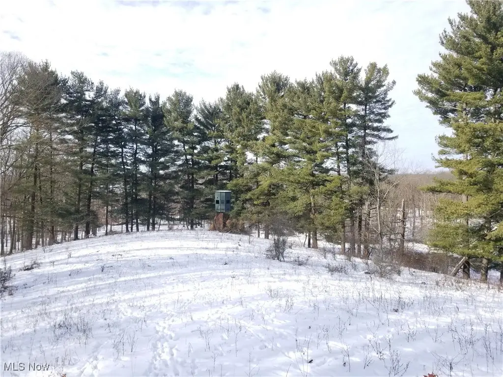 Lewis Road, Salineville, OH 43945 - Image #1