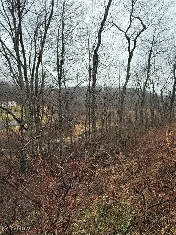 2492 Irish Ridge Road, East Liverpool, OH 43920 - Image #2