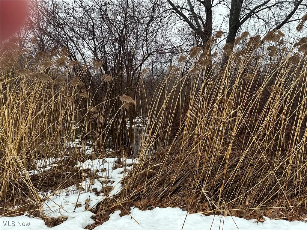 V/l Appaloosa Trl, Madison, OH 44057 - Image #1