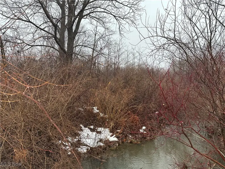 V/l Appaloosa Trl, Madison, OH 44057 - Image #2