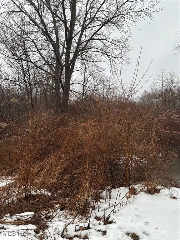 V/l Appaloosa Trl, Madison, OH 44057 - Image #3