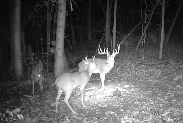 14252 State Route 83, Coshocton, OH 43812