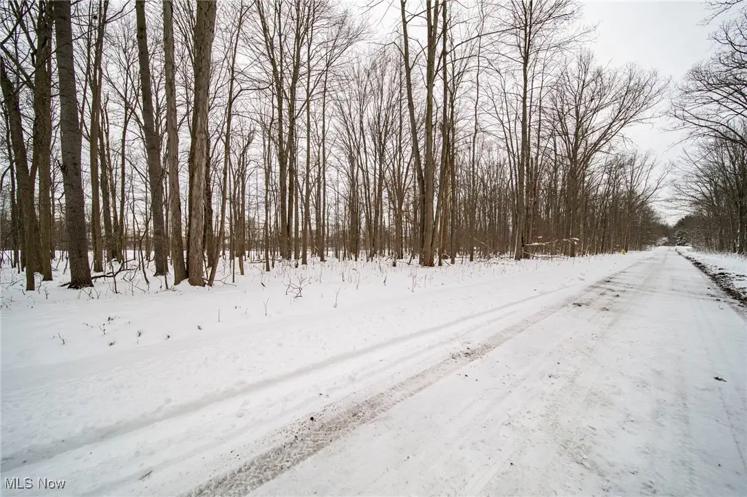 V/L 3-31 Willow Street, Solon, OH 44139 - Image #1