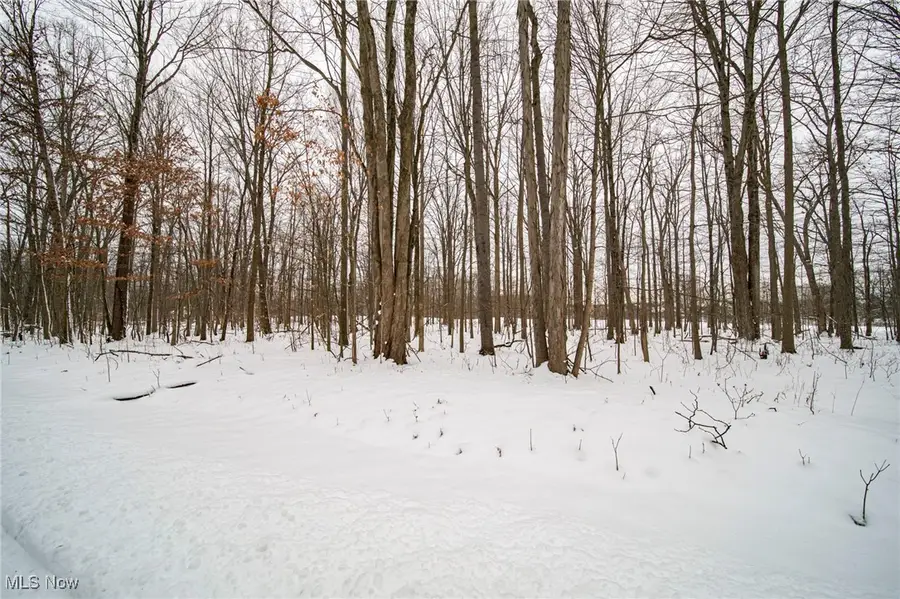 V/L 3-31 Willow Street, Solon, OH 44139 - #2