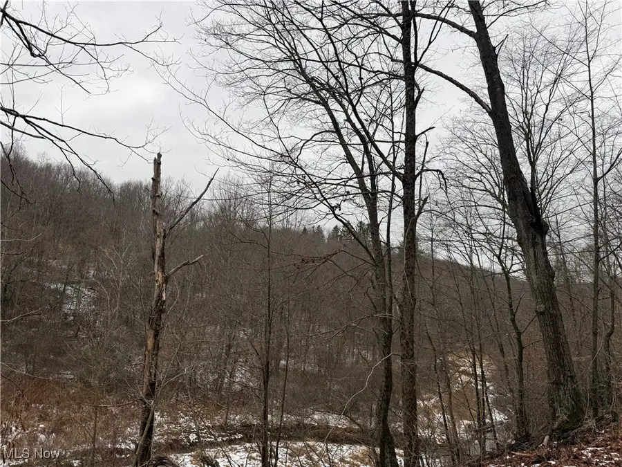 Greenbank Road, Lewisville, OH 43754 - Image #2