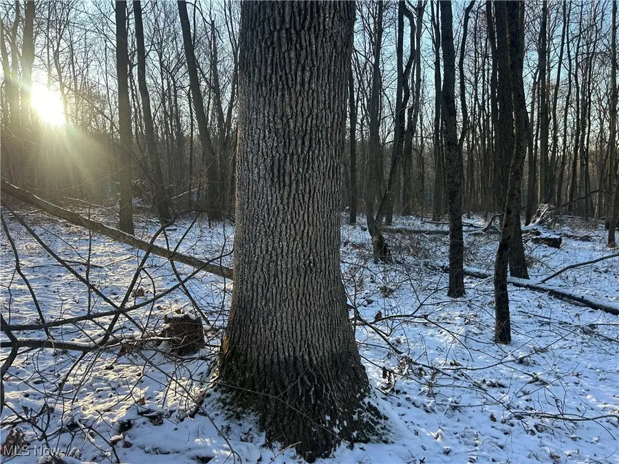 Jug Run Rd, Jackson, OH 43822 - Image #2