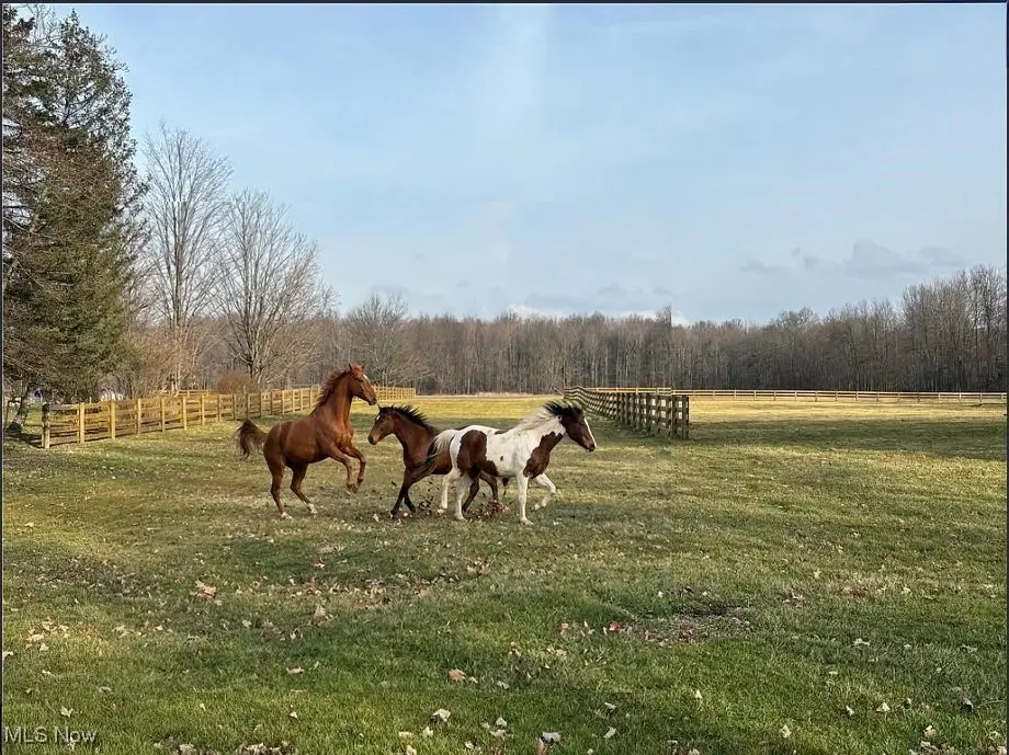 9300 N Main Street, Windham, OH 44288 - Image #1