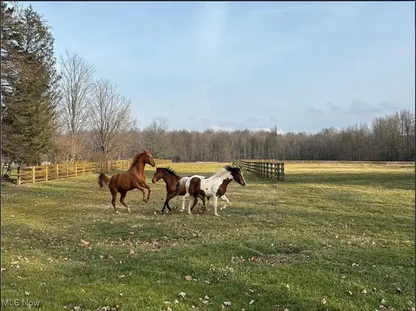 9300 N Main Street, Windham, OH 44288