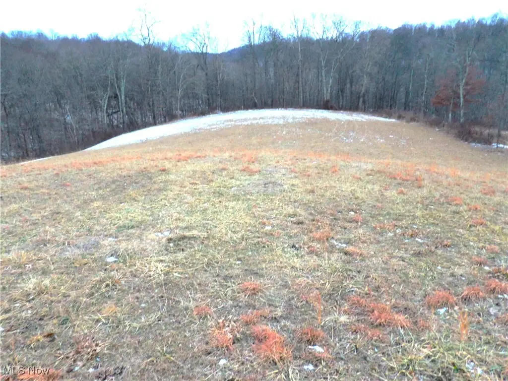 50877 Moore Ridge Road, Jerusalem, OH 43747 - Image #1