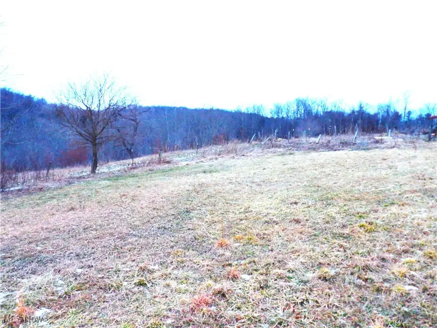 50877 Moore Ridge Road, Jerusalem, OH 43747 - Image #3