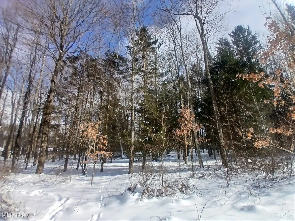 35224 Hull Road, Salineville, OH 43945 - #1