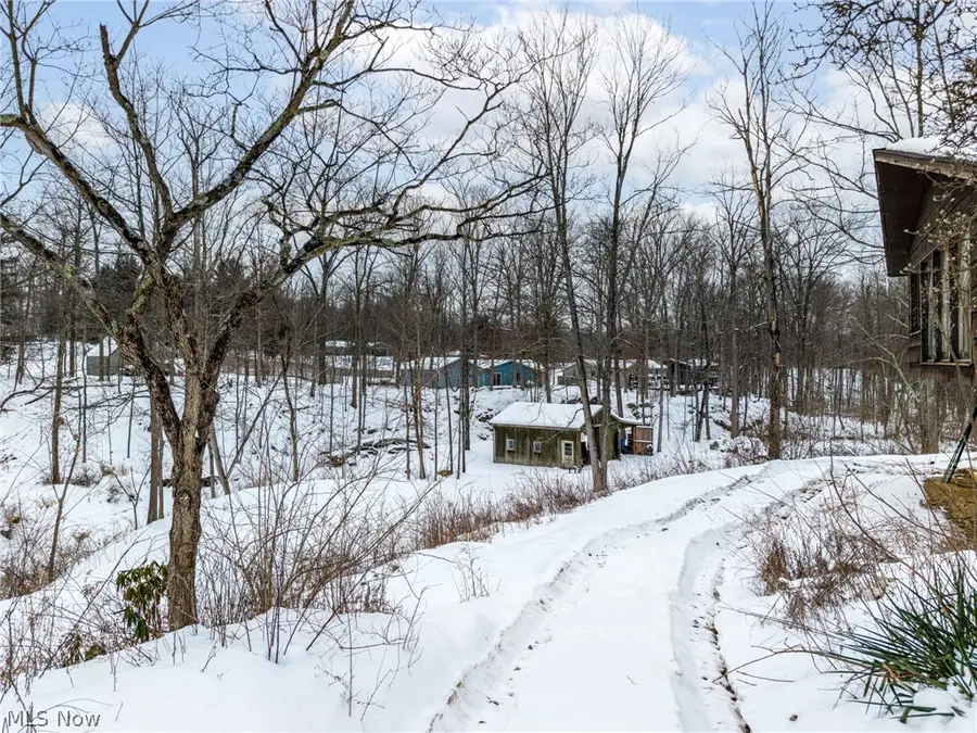 4568 Nettleton Road, Medina, OH 44256 - #3