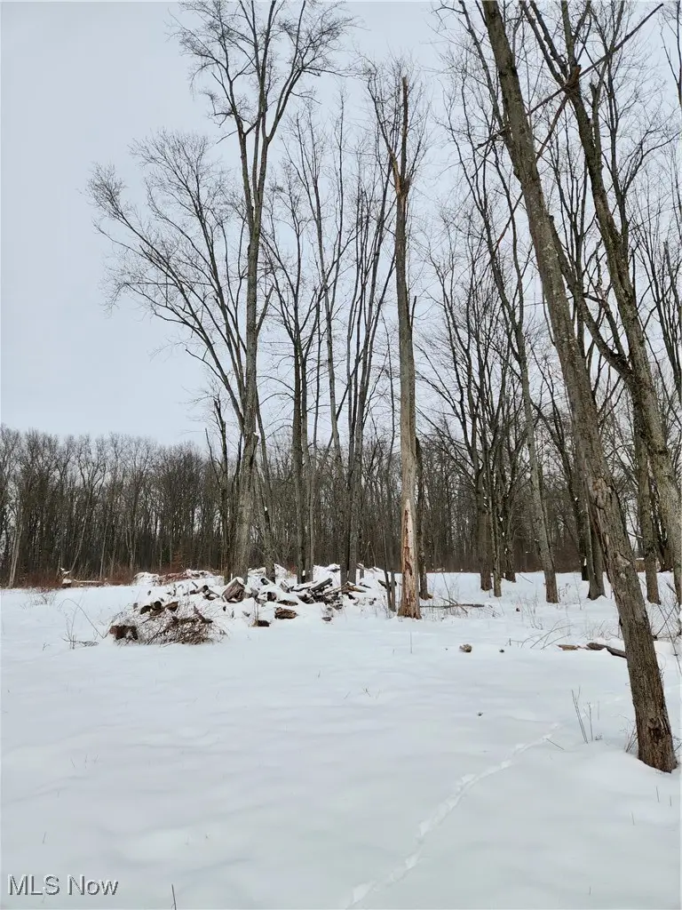 Royalton Road, Columbia Station, OH 44028 - #3