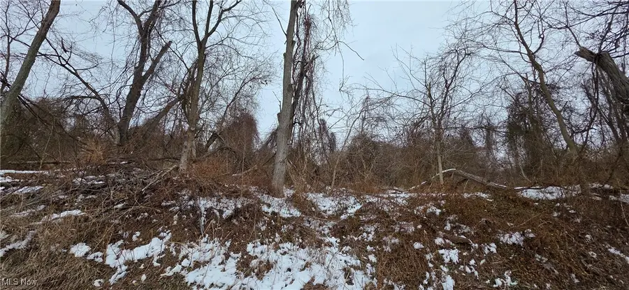 CR32 Kilgore Road Road, Bellaire, OH 43906 - #3