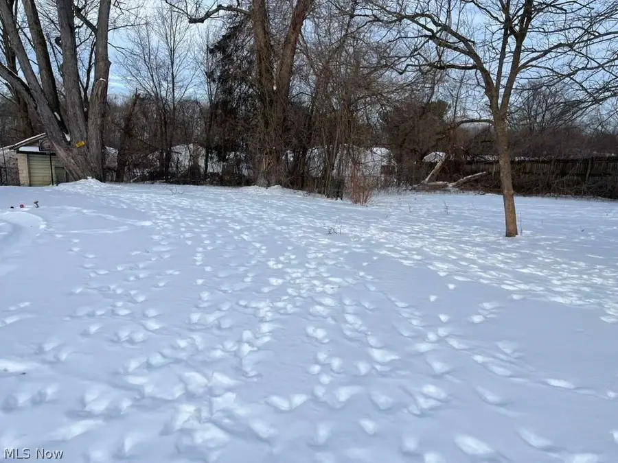 784 Shoshone Avenue, Akron, OH 44305 - #2