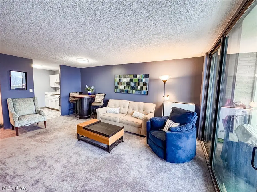 25801 Lake Shore Boulevard, Euclid, OH 44132 - #3