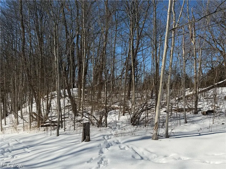 Old Weymouth Road, Medina, OH 44256 - #3