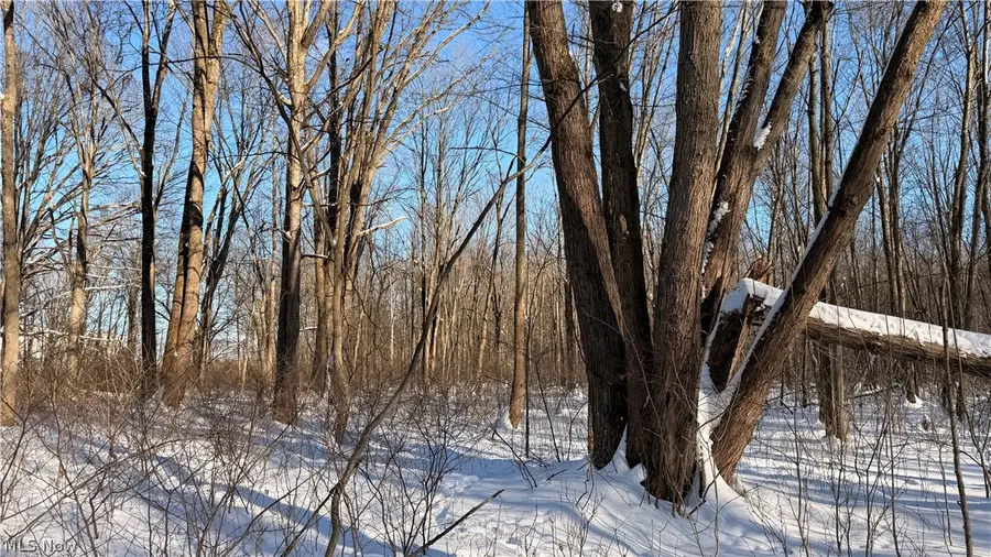 Progress Boulevard, Brimfield, OH 44240 - #2