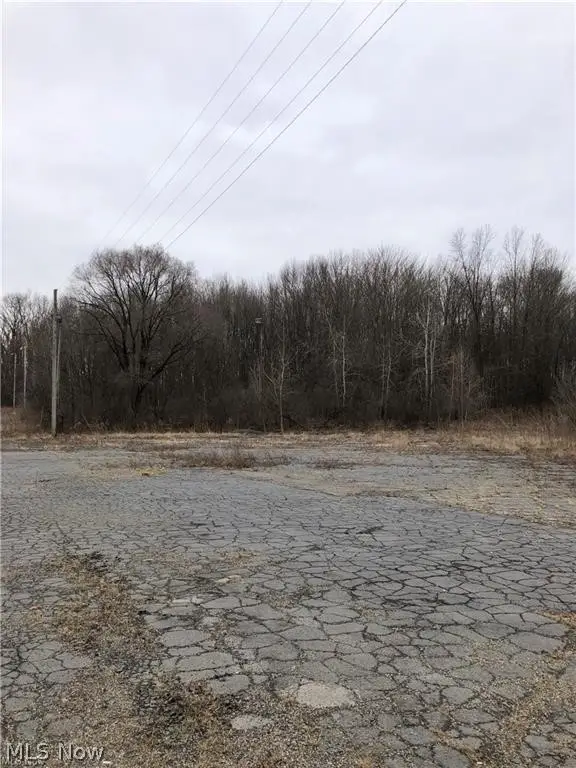 Youngstown Road, Warren, OH 44484 - #2