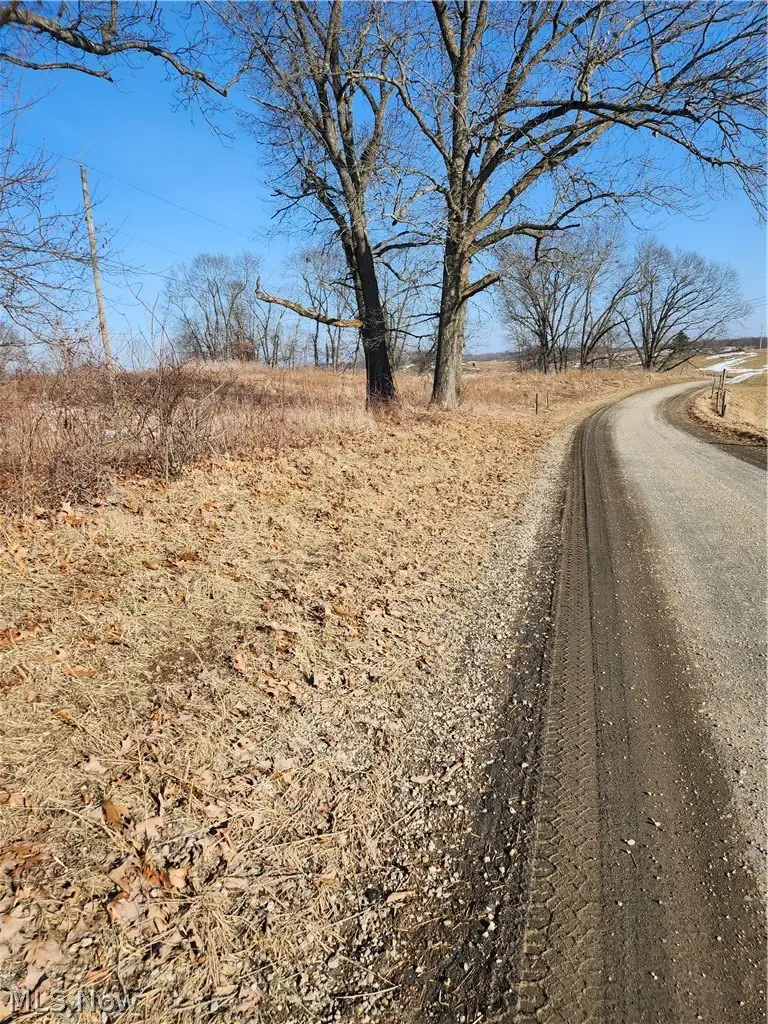 Fostor Road, Dresden, OH 43821 - #1