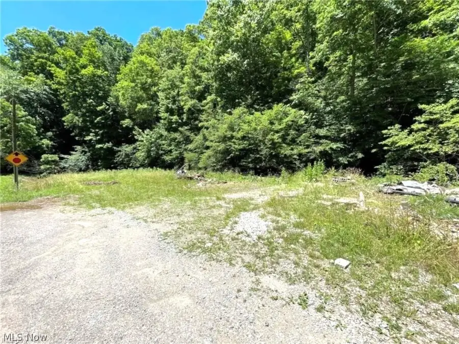 974 Slate Rd, Spencer, WV 25276 - #3