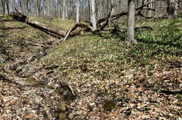 E 23rd Street, Ashtabula, OH 44004 - #3