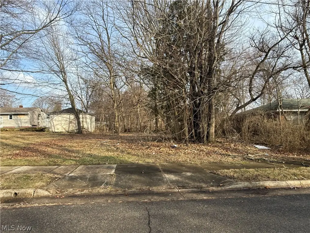 Washburn Street, Akron, OH 44307 - #1