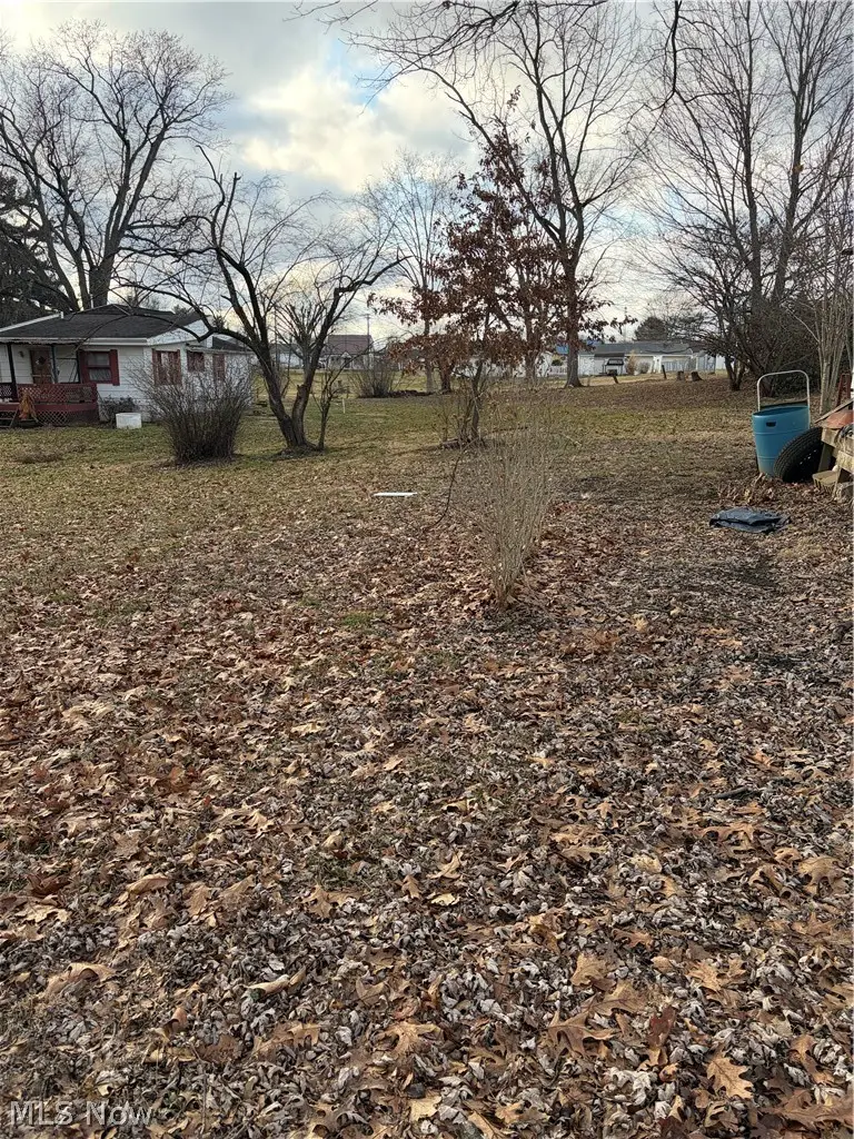 227 Bridge Street, Duncan Falls, OH 43734 - #3