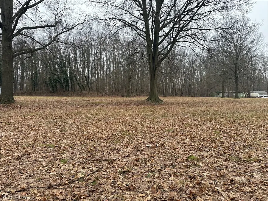 V/L Ellet Avenue, Akron, OH 44312 - #2