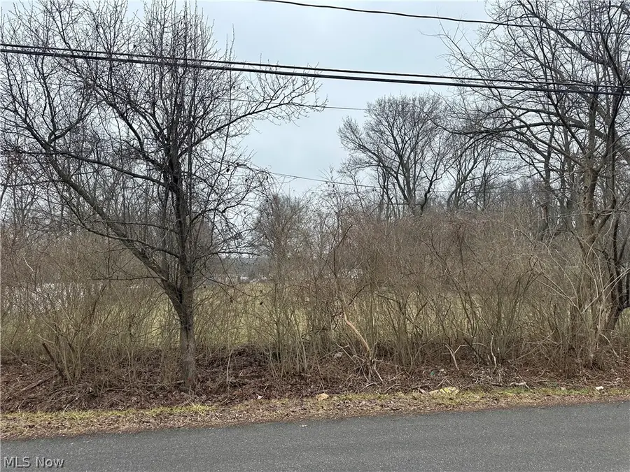 V/L Ellet Avenue, Akron, OH 44312 - #3