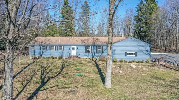 11180 Whitewood Drive, Newbury, OH 44065